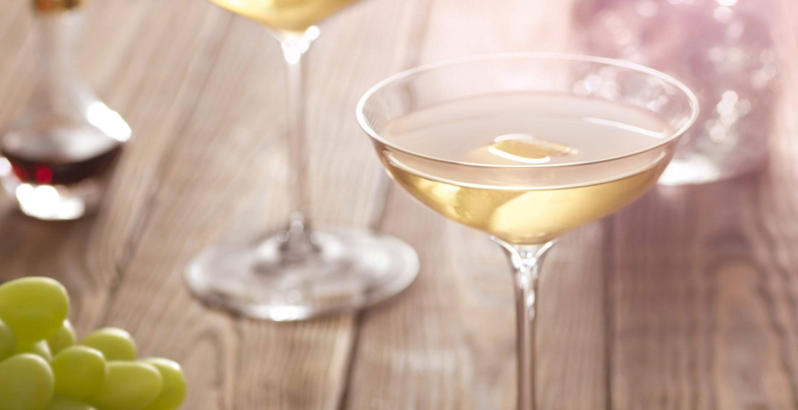 Martini-FeaturedCarousel-2960x1520-Drinks-GinMartini@2x-2880x1479